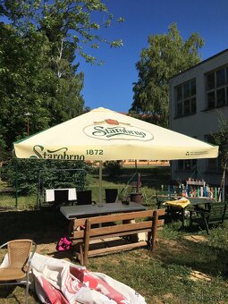 Slnečník - 2