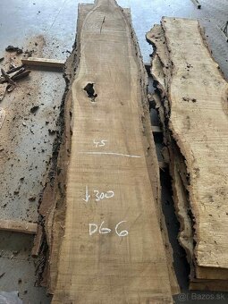 dubové fošne, dub letný, dub - 2