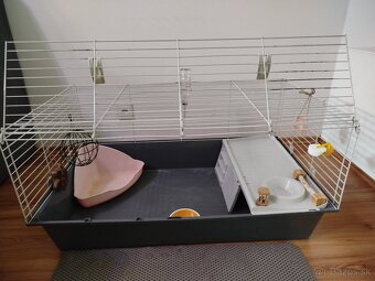 Klietka pre kraliky - 2