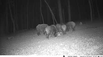 Fotopasca HC900M, posielanie MMS, EMAIL - 2