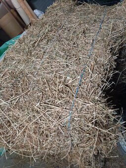 Predám malé balíky dateliny - 2