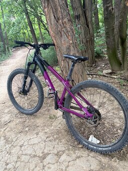 Ctm Raptor 1.0 2022 - 2