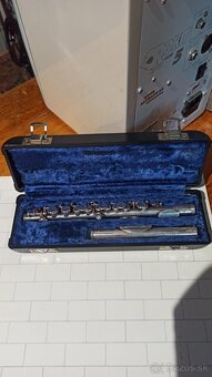 Pikola Gemeinhardt of Elkhart - 2