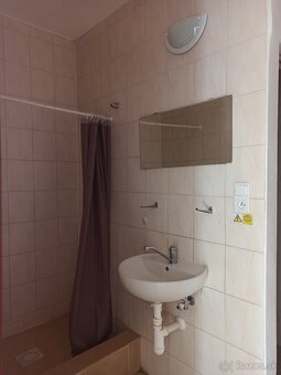 Zrekonštruovaná garsónka v širšom centre mesta - 2