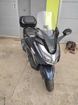 Honda Forza 300 - 2
