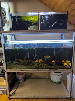Predám akvárium + príslušenstvo / stojan - 2
