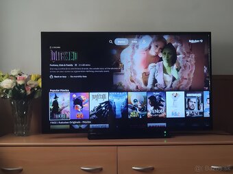 Toshiba Smart TV 48" - 2