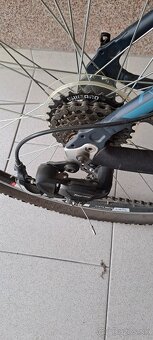 CTM Rein 1.0 - 2