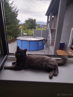 Predám bazén s príslušenstvom - 2