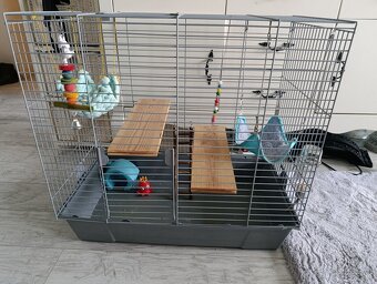 Klietka pre potkana - 2