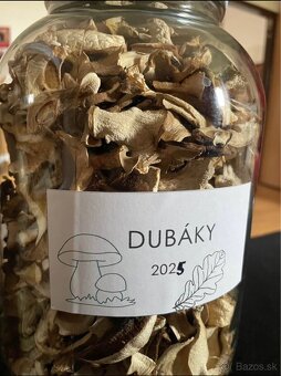 Sušené hríby dubáky - 2