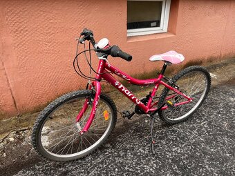 Detský bicykel Herry 24 - 2