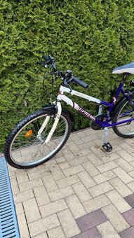 Dámsky Bicykel - 2