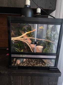 Terarium 46x46x46 - 2