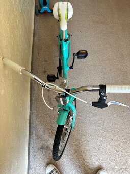 Detsky bicykel Harry 20 dolly - 2
