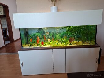 Akvarium - 2