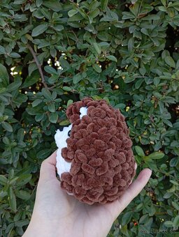 Háčkovaný ježko - 2