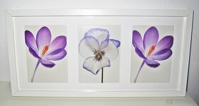 Obraz kvety - 52,5 cm x 25,5 cm - 2