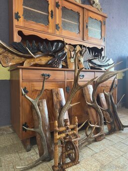 Jelenie parožie a trofeje - 2