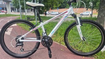 DEMA XC METTYS 24" šport Junior - 2