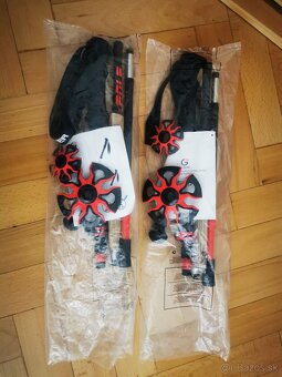 Turistické palice - 2