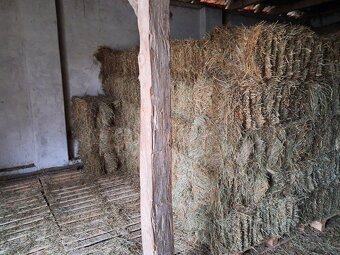 Predám seno - 2