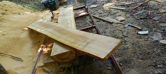 Kmeňová pásová píla - 2