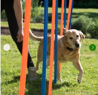 Agility prekážky - 2