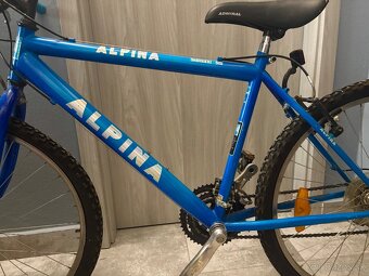 Krasny modry bicykel pre tinedzerov - 2