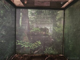 Predam terarium EXO TERRA - 2