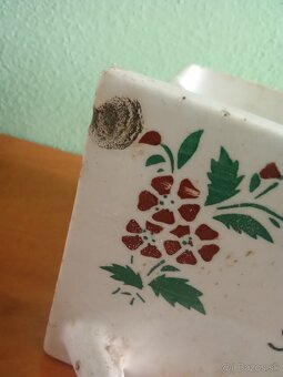 Staré koreničky. - 2