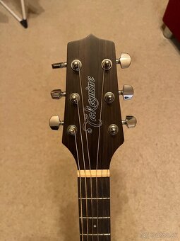 Gitara Takamine GD20 - 2