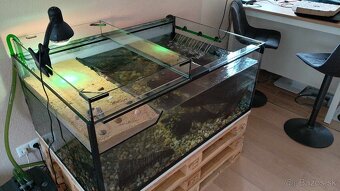 PREDAM VELKE AKVARIUM PRE VODNU KORYTNACKU - 2