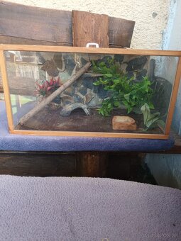Terarium s 3D stenou - 2