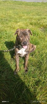 Rimavská sobota - 2