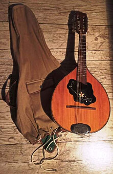 Retro mandolína v praktickom puzdre - 2