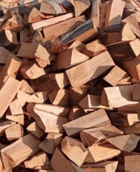 Palivové drevo Čistý BUK - 2