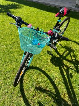 Detsky Bicykel-CTM Mony 24 - 2