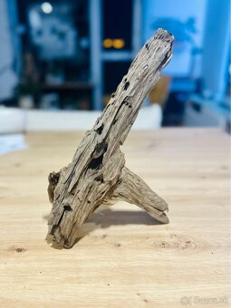 Koren do akvaria - 2