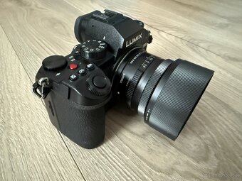 Panasonic lumix dc-s5 - 2