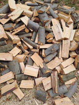 Palivové drevo - 2