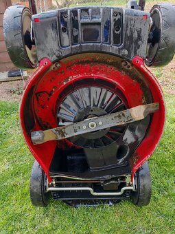 Vari 51cm - 2