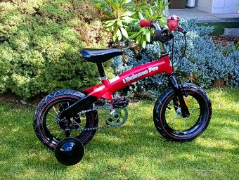 Bicyklík Balance Pro - 2