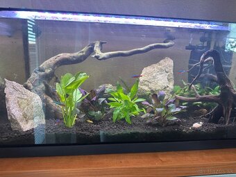 Akvárium 60 L + sinkor LED - 2