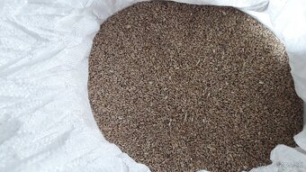 Predám obilie - žito - 2