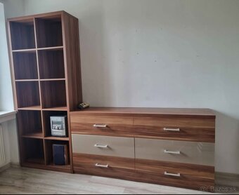 Knižnica komoda stôl dekor slivka - 2