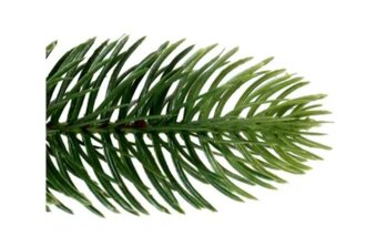 Vianočný stromček NAGANO 210CM - 2