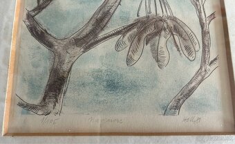 Grafika Anton Holly - 2