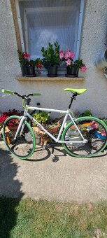 Totem 28 Zoll - 2