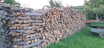 Palivové drevo metrovica - 2